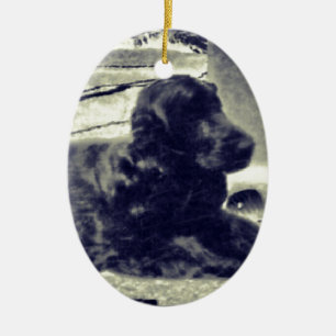 CockerspanielSpaniel Julgransprydnad Keramik