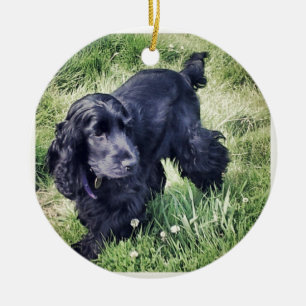 CockerspanielSpaniel Julgransprydnad Keramik