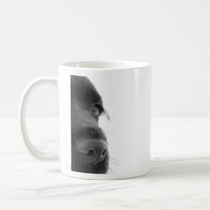 CockerspanielSpaniel Kaffemugg
