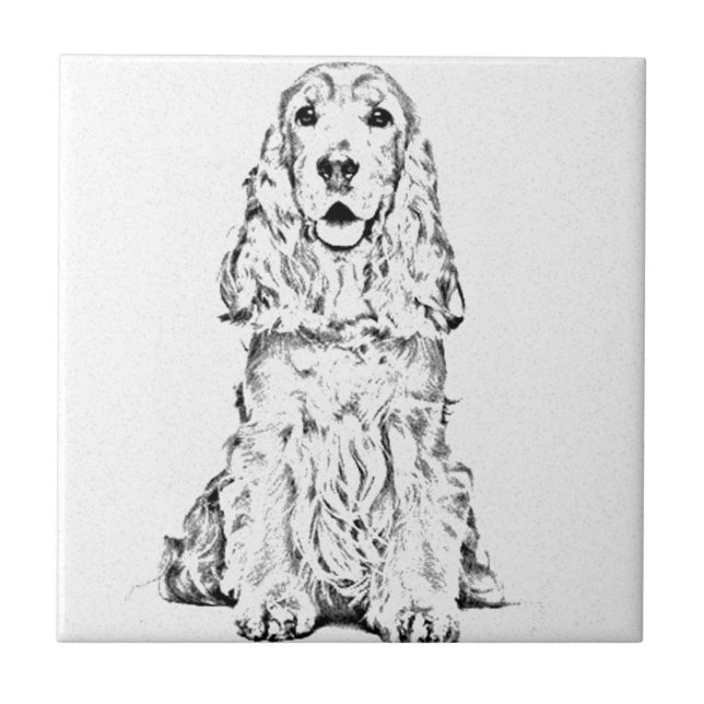 Cockerspanielspaniel Kakelplatta (Framsidan)