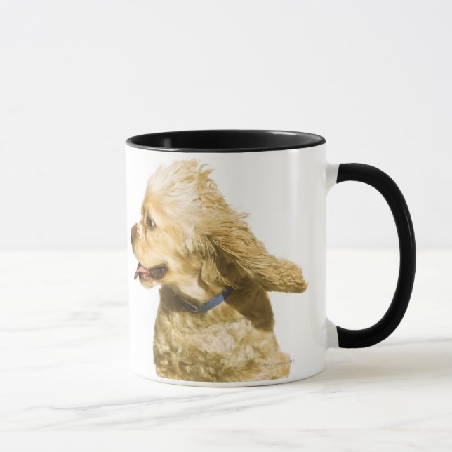 CockerspanielSpaniel Mugg (Höger)