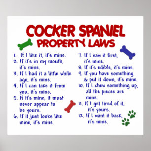 COCKERSPANIELSPANIEL PL2 POSTER