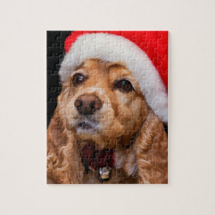 CockerspanielSpaniel som ha på sig den Santa Pussel