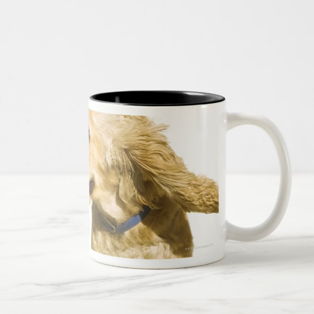 CockerspanielSpaniel Två-Tonad Mugg (Höger)