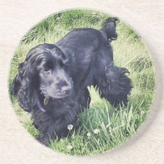 CockerspanielSpaniel Underlägg