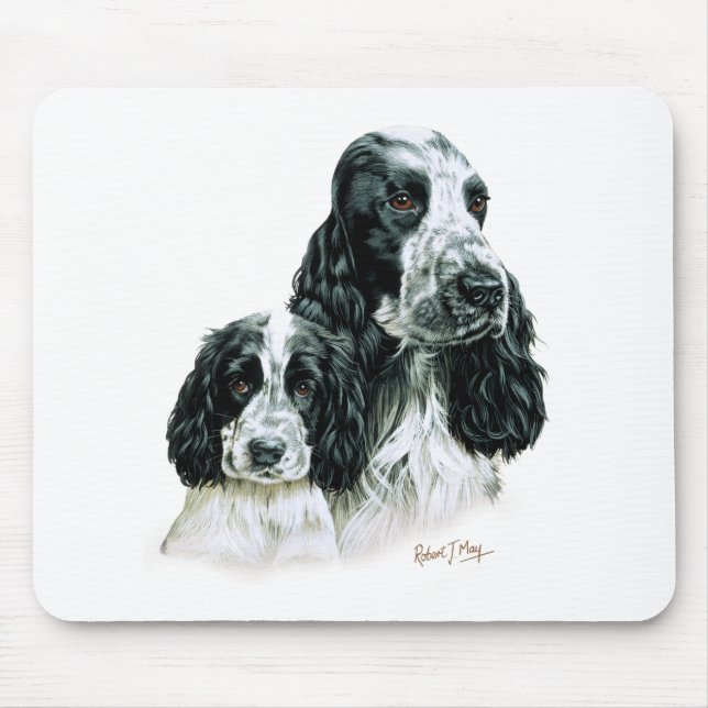 CockerspanielSpaniel & valp Musmatta (Framsidan)