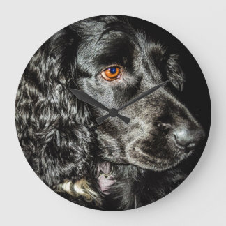 Cockerspanielspanielen tar tid på stor klocka