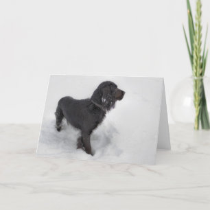 CockerspanielSpanielkort Kort