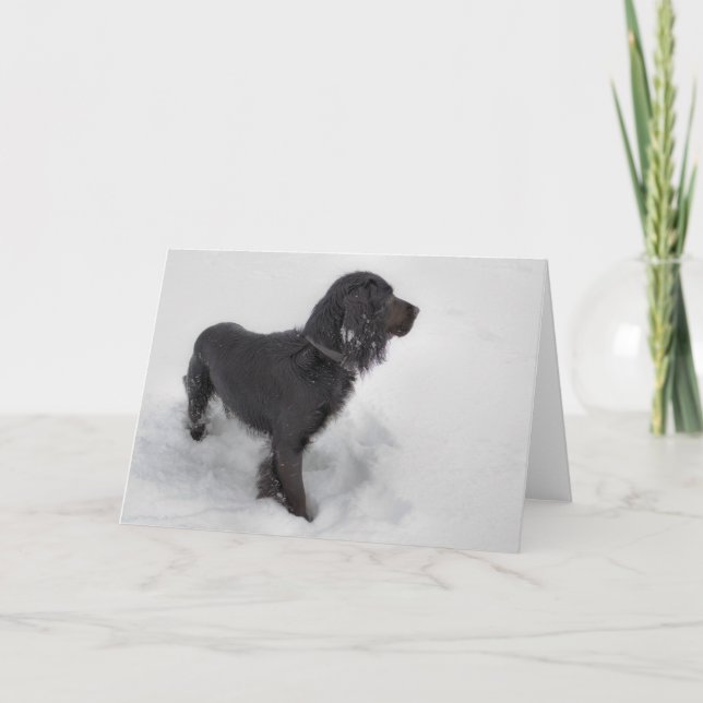 CockerspanielSpanielkort Kort (Framsida)