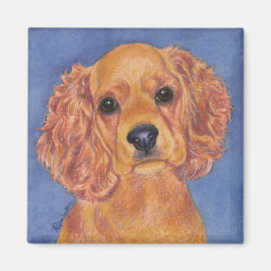 CockerspanielSpanielmagnet - "Addie ", Magnet