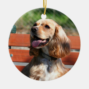 CockerspanielSpanielprydnad Julgransprydnad Keramik
