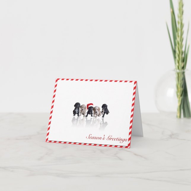 CockerspanielSpanielvalpar i Santa hattjulkort Helgkort (Framsida)