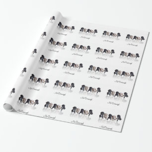 CockerspanielSpanielvalpar Presentpapper