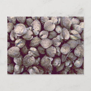 Cockles Vykort