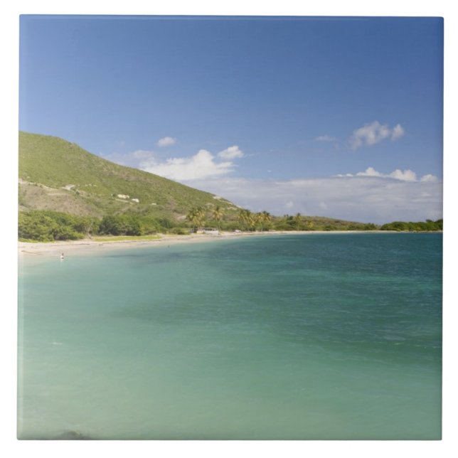 Cockleshell Bay, sydöstra halvön, St Kitts, Kakelplatta (Framsidan)
