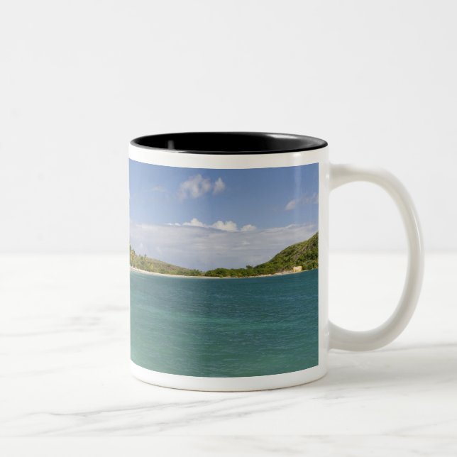 Cockleshell Bay, sydöstra halvön, St Kitts, Två-Tonad Mugg (Höger)