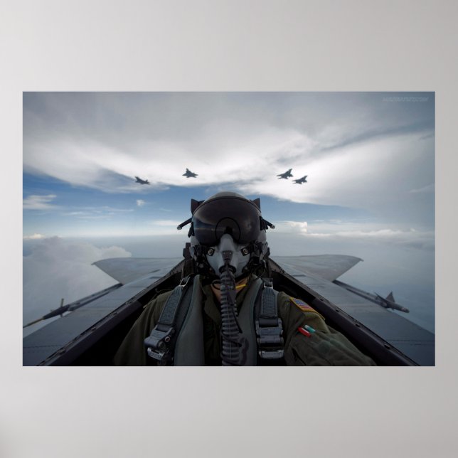 Cockpit Selfie Poster (Framsidan)