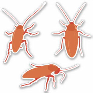 Cockroach-etikettuppsättning Klistermärken