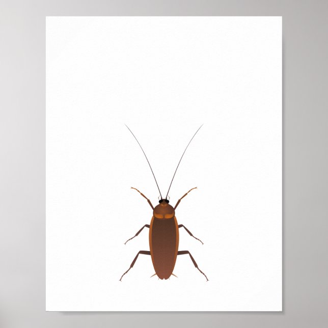 Cockroach Insekt Poster (Framsidan)