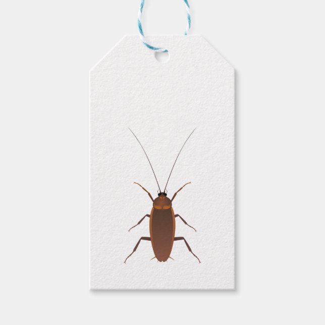 Cockroach Insekt Presentetikett (Framsidan)