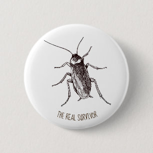 Cockroach Knapp