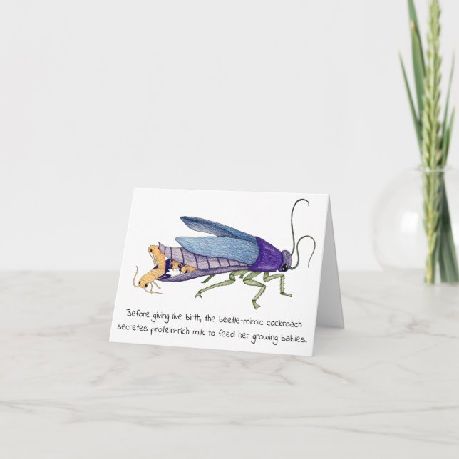 Cockroach Mors dag Card Kort (Framsida)