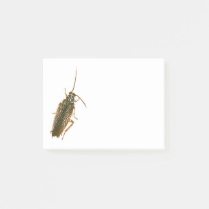 Cockroach Post-it Block