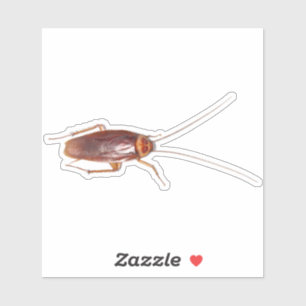 Cockroach Roach Klistermärken