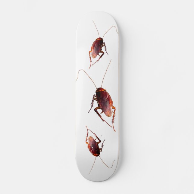 Cockroach Skateboard Bräda 20 Cm (Framsida)