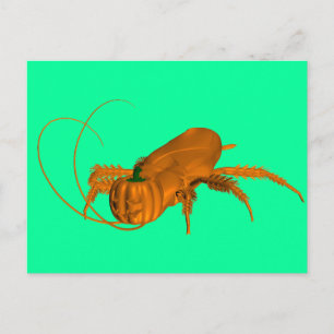 Cockroach Vykort