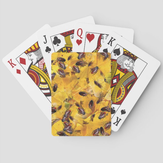 Cockroacher Casinokort (Baksidan)