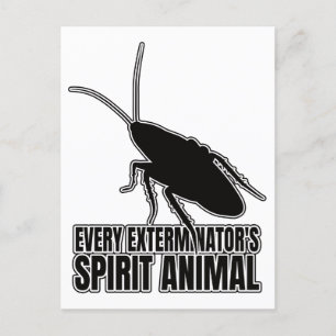 Cockroacher Cockroach Roach - Entomology Geek Vykort