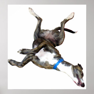 Cockroaching Poster