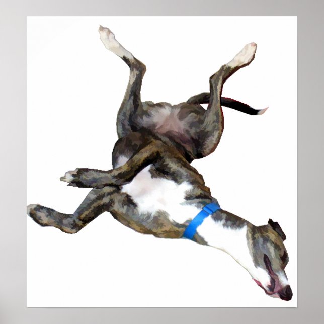 Cockroaching Poster (Framsidan)