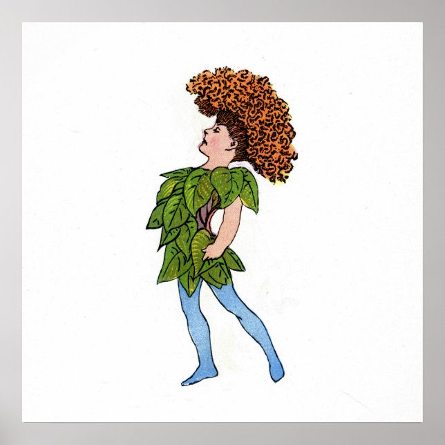 Cocks-Comb Poster (Framsidan)