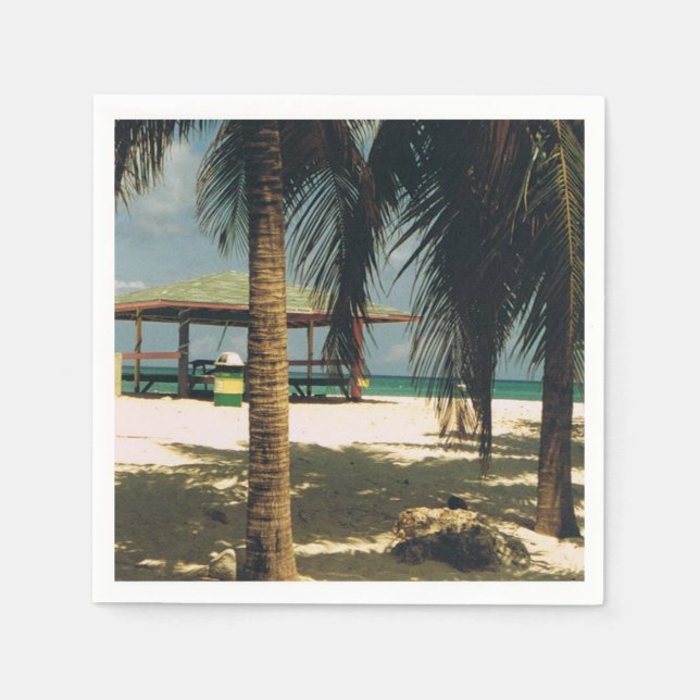 Cocktail Napkins med en Island Scene Pappersservett (Framsidan)