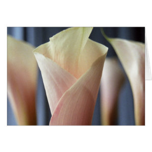 Cocktail Party White Calla Lily Greeting Cards Hälsningskort