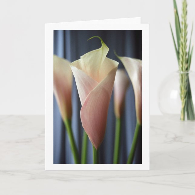 Cocktail Party White Calla Lily Greeting Cards Kort (Framsida)