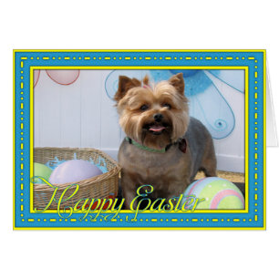Coco Chanel - Yorkie -4 Hälsningskort