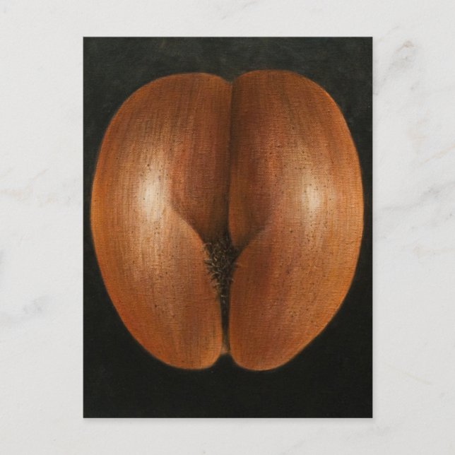 Coco de Mer 2010 Vykort (Framsida)