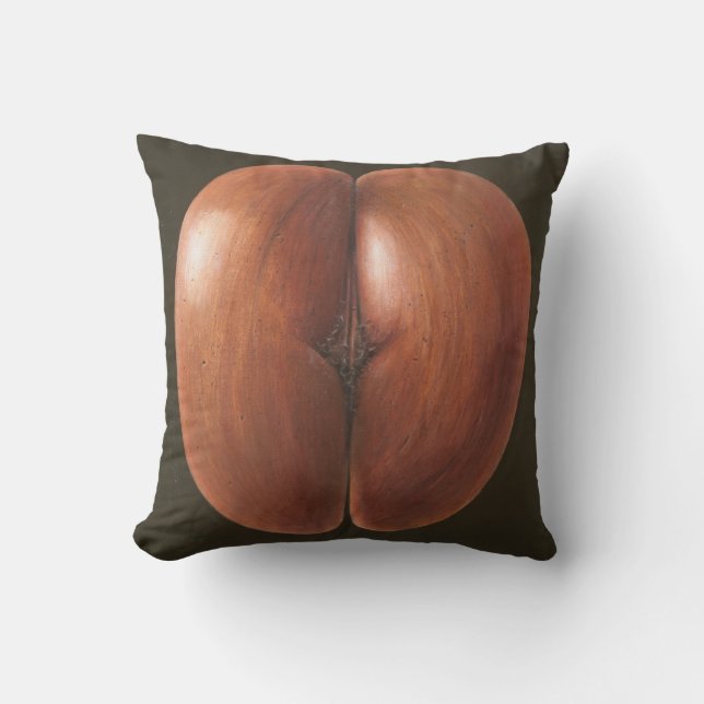 Coco de Mer Maldiverna 2012 Kudde (Framsida)