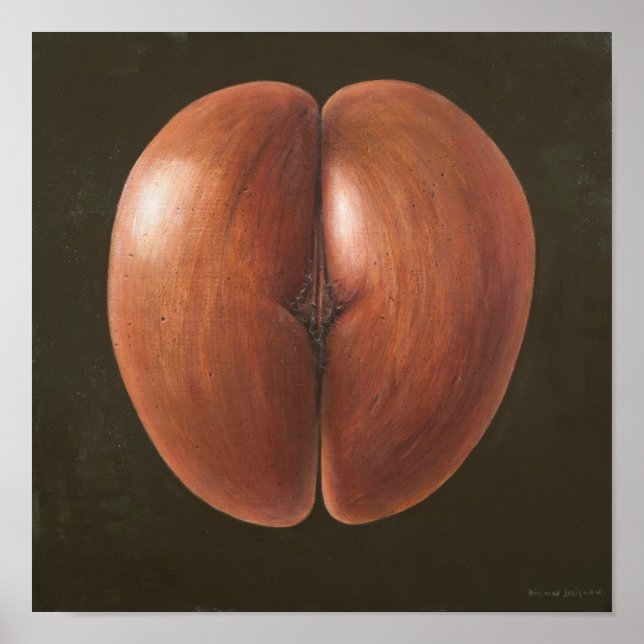 Coco de Mer Maldives 2012 Poster (Framsidan)