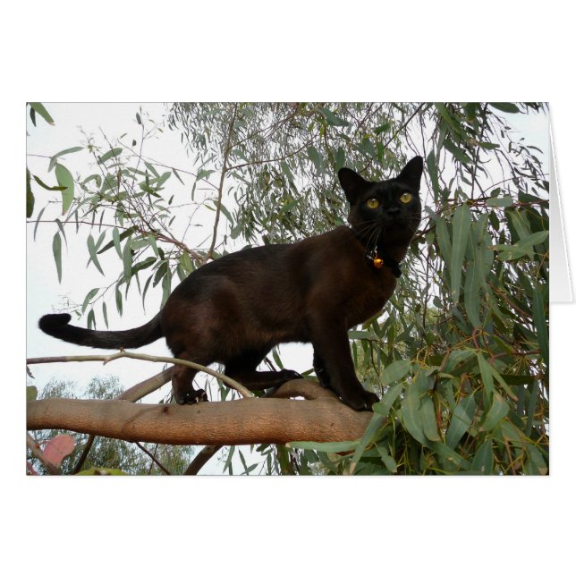 Coco Hälsningskort (Framsidan Horizontal)