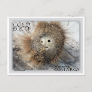 COCO LOCO NÖT VYKORT