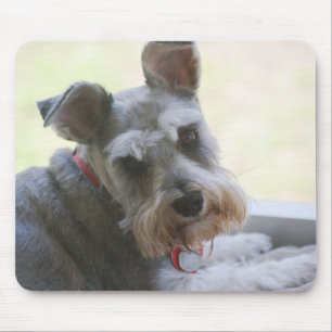 Coco mini- Schnauzermousepad Musmatta