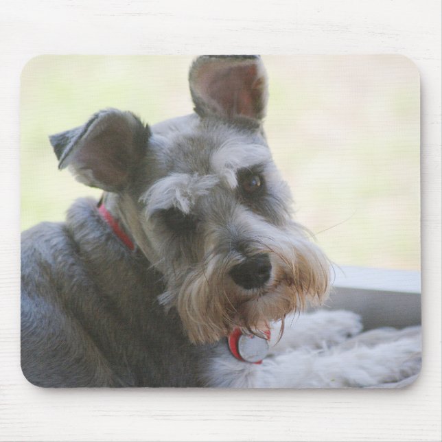 Coco mini- Schnauzermousepad Musmatta (Framsidan)