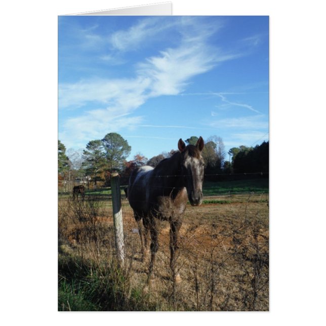Coco och Cream-bruna hästar Hälsningskort (Framsidan)
