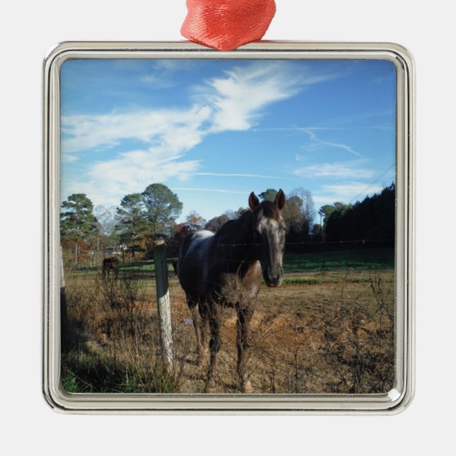 Coco och Cream-bruna hästar Julgransprydnad Metall (Framsidan)