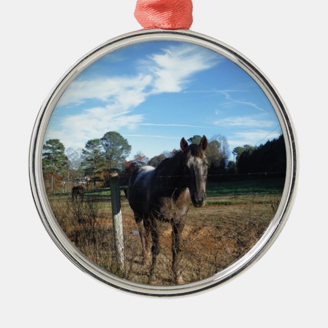 Coco och Cream-bruna hästar Julgransprydnad Metall (Framsidan)