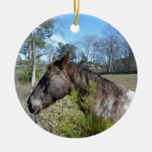 Coco och Cream Färgad Horse Julgransprydnad Keramik
